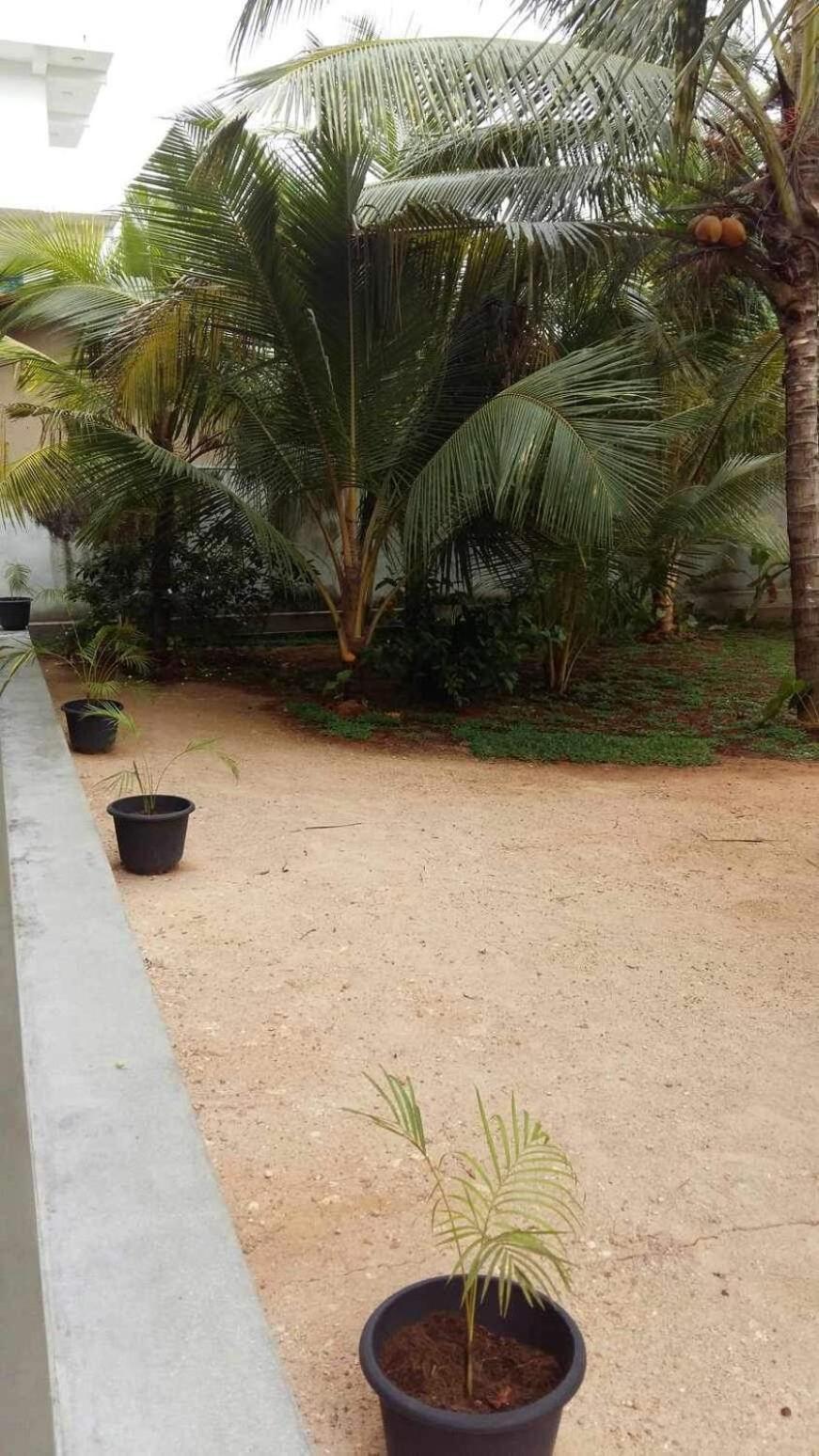 New Ocean Breeze Madiha Hotel Matara Ngoại thất bức ảnh