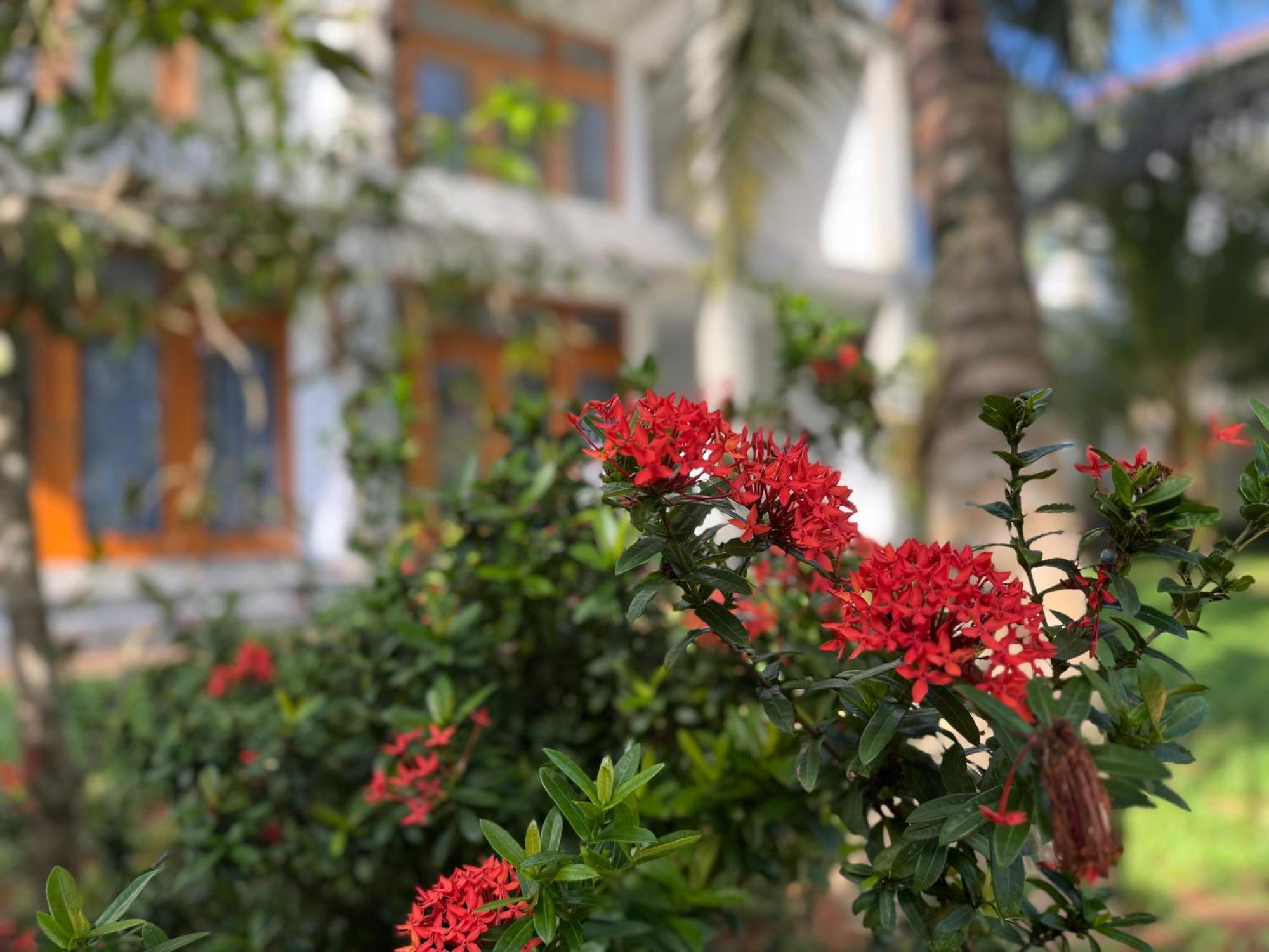 New Ocean Breeze Madiha Hotel Matara Ngoại thất bức ảnh